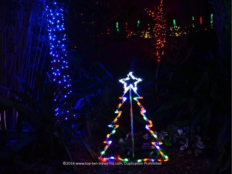 Lighted tree display at Florida Botanical Gardens