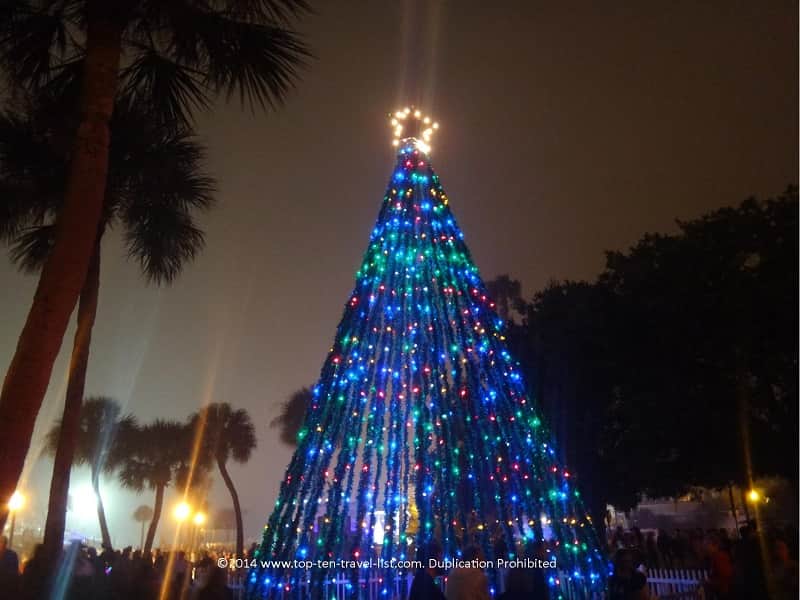 Palm trees and a Christmas tree in Dunedin, Florida 