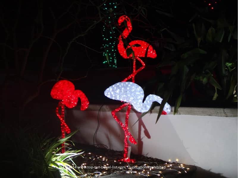 Flamingo display at Florida Botanical Gardens