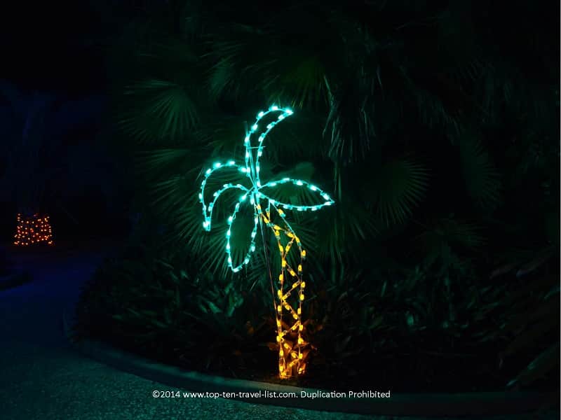 Tropical palm display at Florida Botanical Gardens