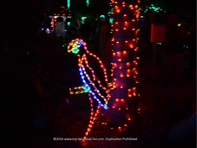 Parrot holiday display at Florida Botanical Gardens