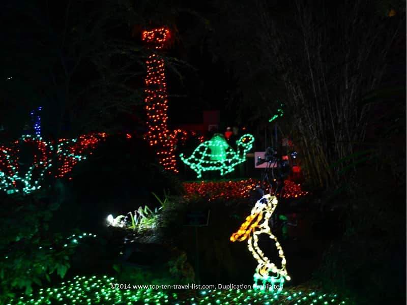 Turtle and egret display Florida Botanical Gardens