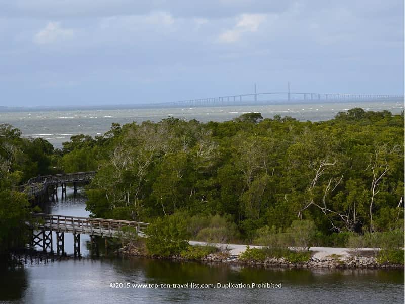 Views of the Tampa Sunshine bridge from Robinson Nature Preserve