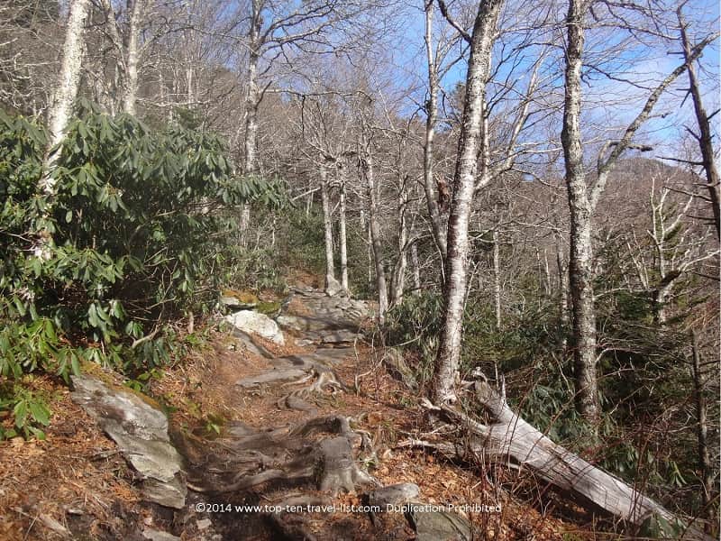Hiking at Grandfather Mountain