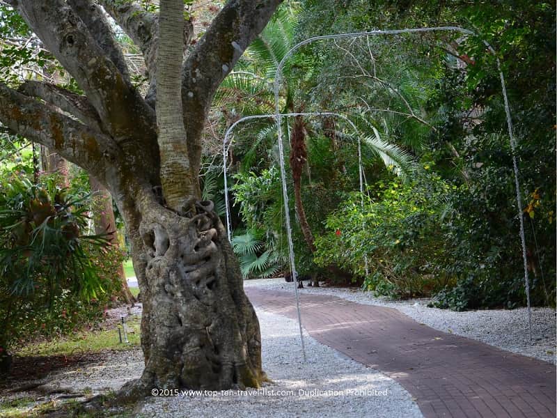 The shady trails are a great way to escape the Florida heat.