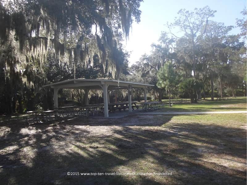 Picnic tables at Oscar Scherer State Park in Florida