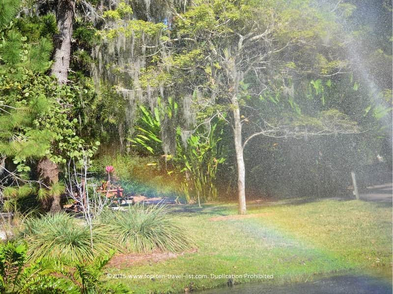 Rainbow at Sarasota Jungle Gardens