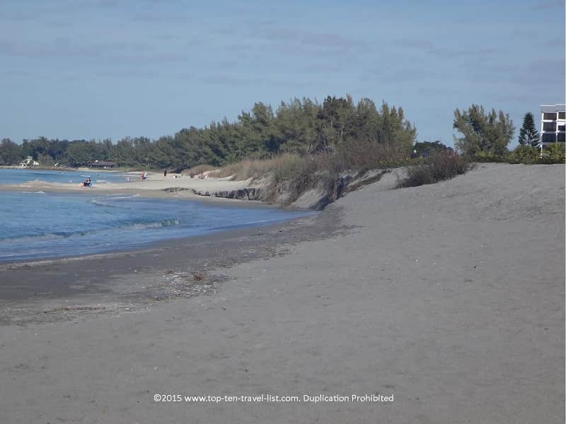 Beautiful trees surrounding Turtle Beach in Sarasota