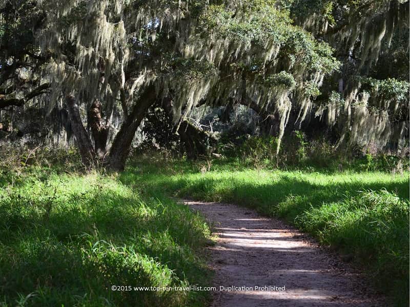 Shady trail at Circle B. Bar Reserve