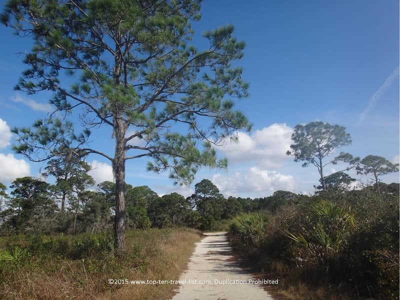 Trail at Oscar Scherer State Park 