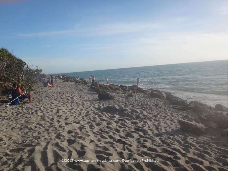 Relaxing and searching for shark teeth 