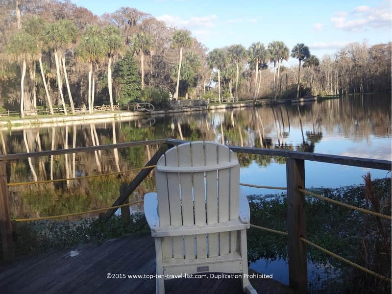 Relaxing adirondack chairs at Silver Springs State Park in Ocala