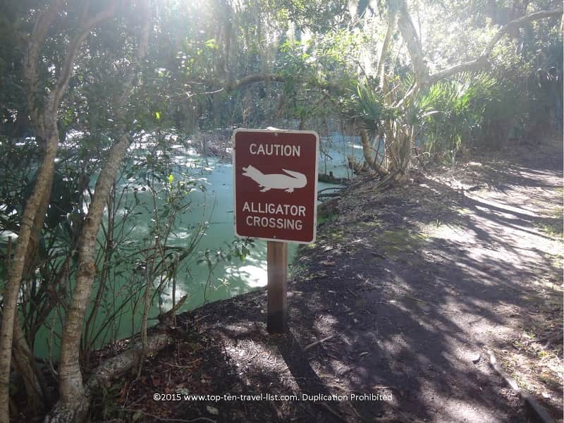 Gator warning sign in Florida