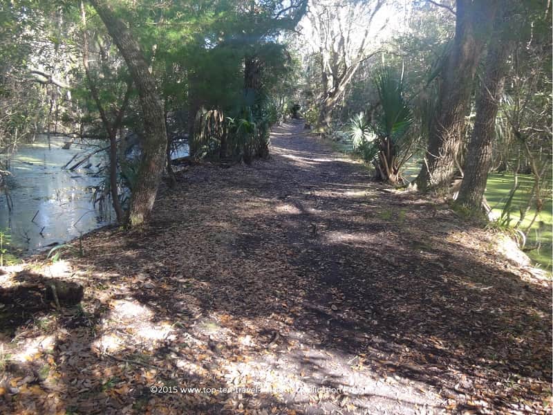 Hiking amongst swamps at Ft. Clinch