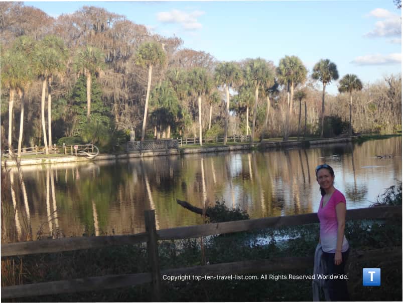 Palm trees and lake views at Silver Springs State Park 