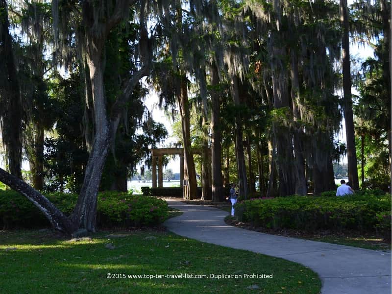 Beautiful moss trees at Kraft Azalea gardens in Winter Park, Florida 