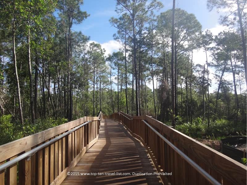 Boardwalk trail at Tibet Butler Nature Preserve in Orlando, Florida