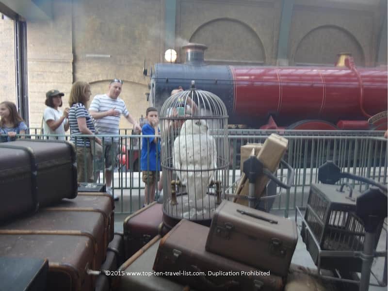 Owl at the Hogwarts Express at Universal Studios