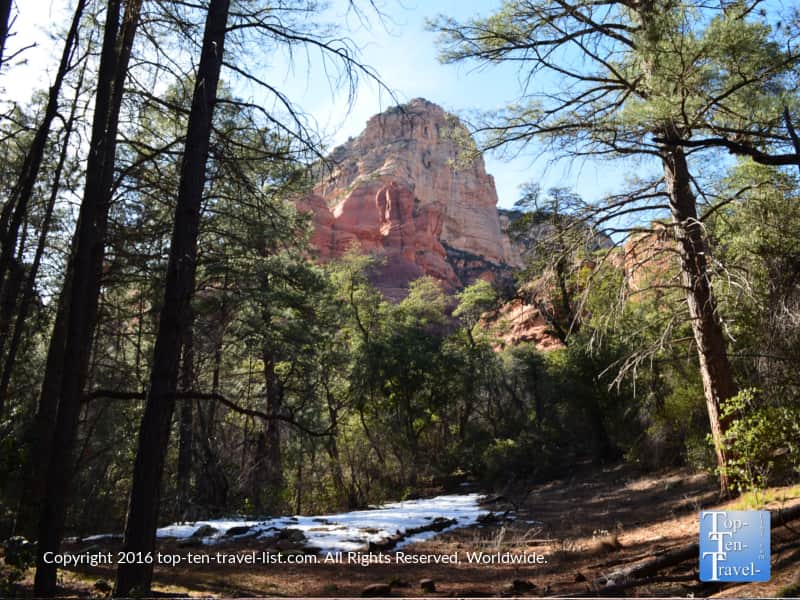 Red rock views and pine trees on the Boynton Canyon trail in Sedona 