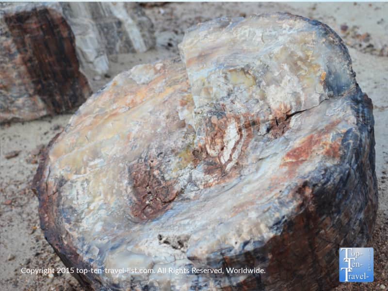 Crystal Forest petrified wood at Petrified National Forest 