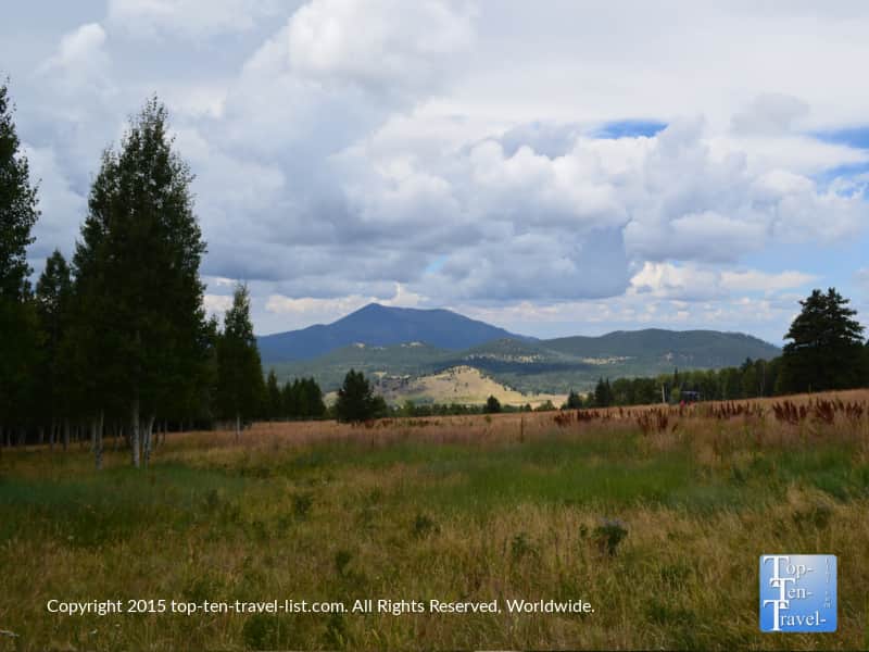 Mountain views on the Aspen Nature Loop in Flagstaff