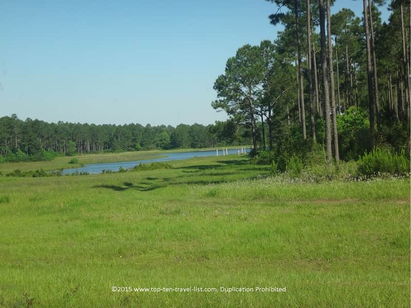Beautiful scenery on Hwy 98 near Elberta, Alabama