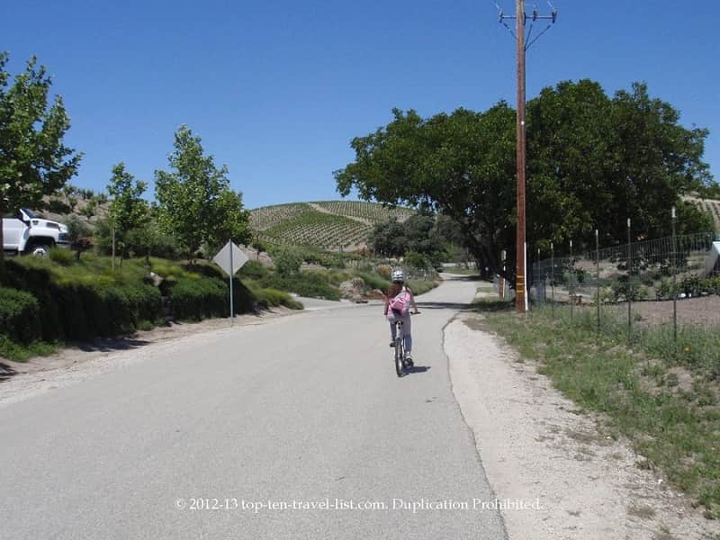 Biking alongside vineyards in Templeton, California 