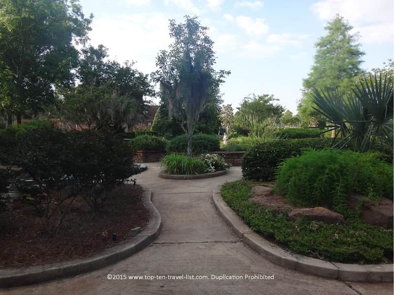Pretty scenery at Beaumont Botanical Gardens