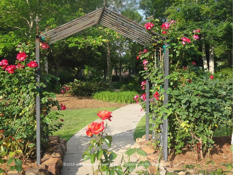 Beaumont Botanical Gardens in Texas