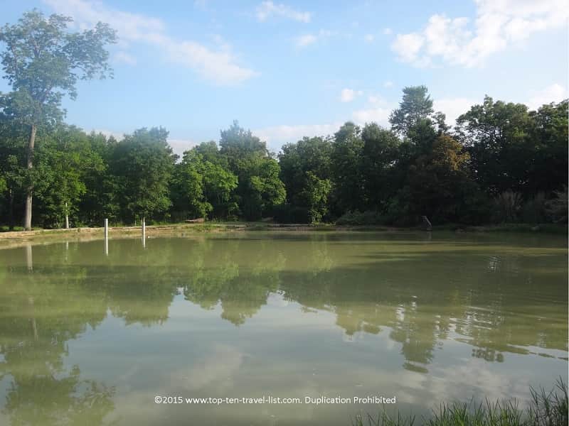 lake view at Beaumont Botanical Gardens