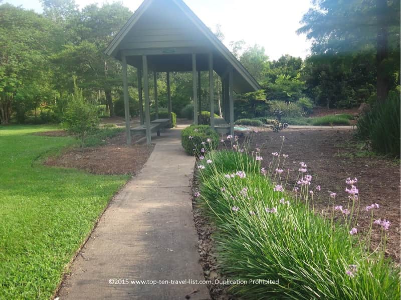 Springtime at Beaumont Botanical Garden 