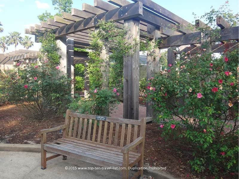Roses at Beaumont Botanical Gardens 