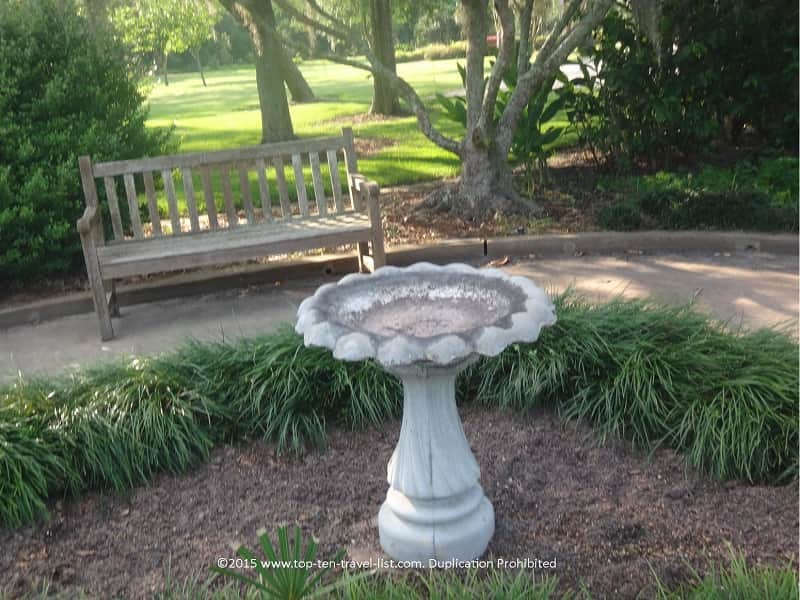 Spring scenery at Beaumont Botanical Garden 