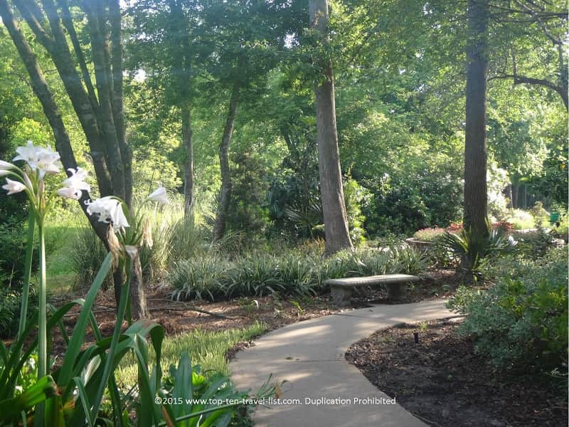 Beautiful trees at Beaumont Botanical Gardens
