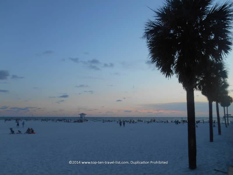 Pretty palm trees lining Clearwater Beach 