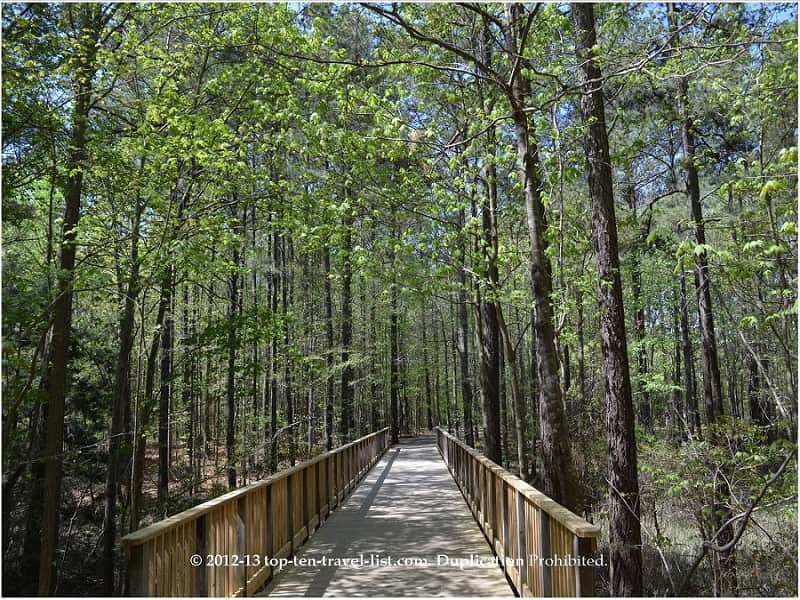 Pretty nature trails in Virginia Beach, Virginia