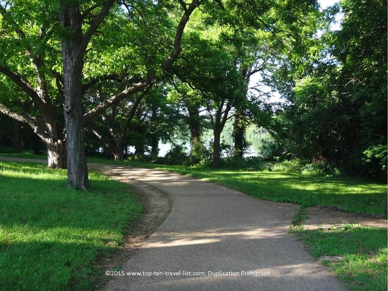 Tree lined views on Austin's beautiful Lady Bird Lake trail