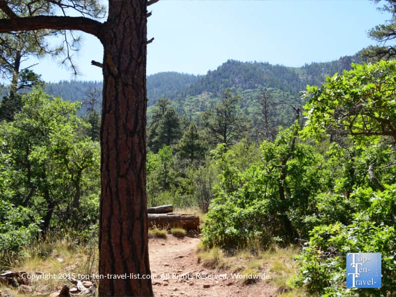 Mountain view on Fatman's Loop hike in Flagstaff