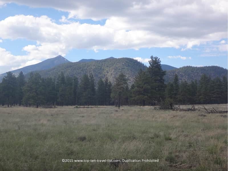 Mt. Elden viewpoint at Buffalo Park in Flagstaff