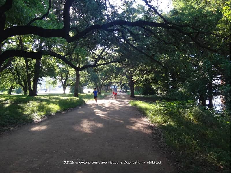 Leafy trees on Austin's Ladybird Lake trail