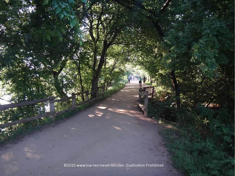 Tunnel of trees on Austin's beautiful Lady Bird Lake trail