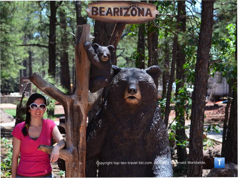 Bearizona black bear photo opp