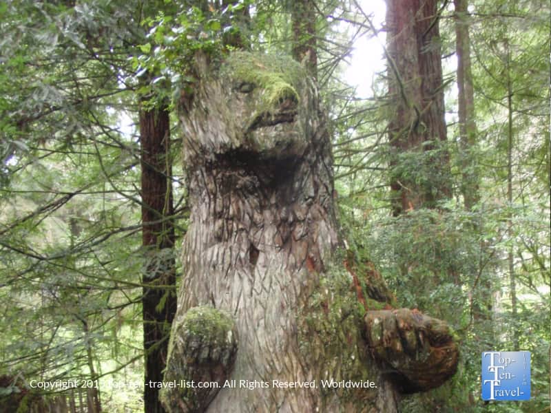Bear carving at Trees of Mystery in Northern California