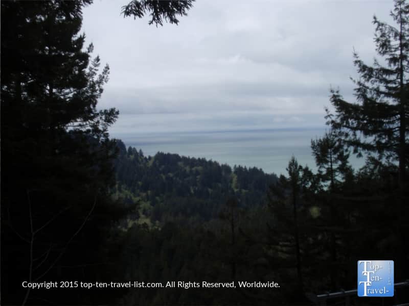 Views of the Pacific Ocean from Trees of Mystery