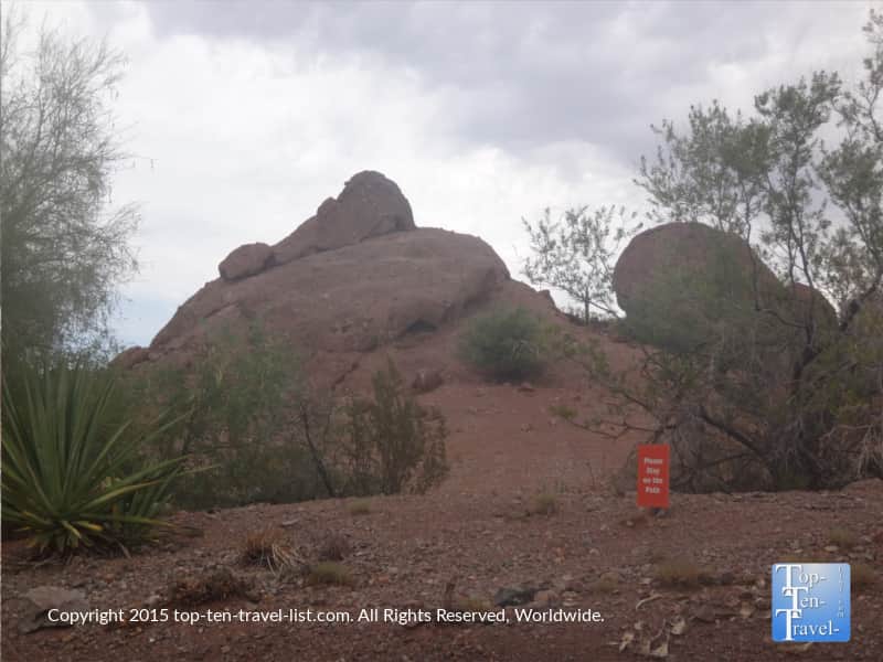 Rock formation at the Phoenix Zoo
