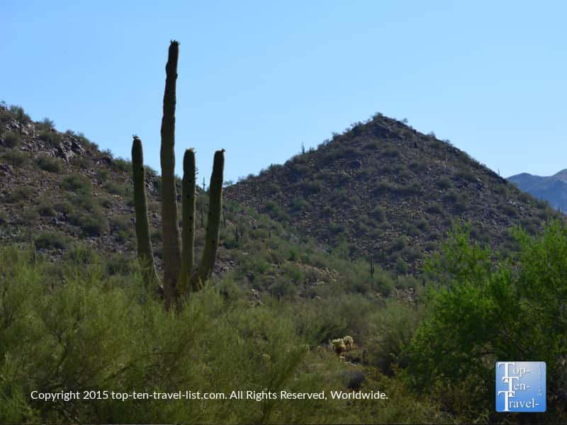 Mountain views and cactus along the Horseshoe Loop at the McDowell Sonoran Preserve in Scottsdale