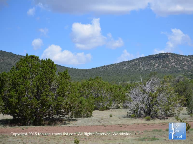 Scenic view along the Grand Canyon Railway