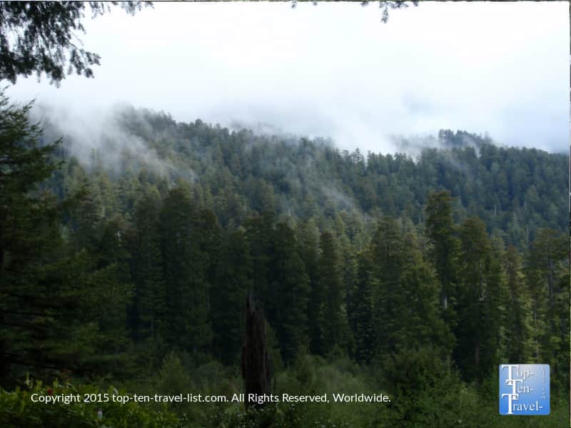 Amazing views from the overlook at Trees of Mystery in Northern California
