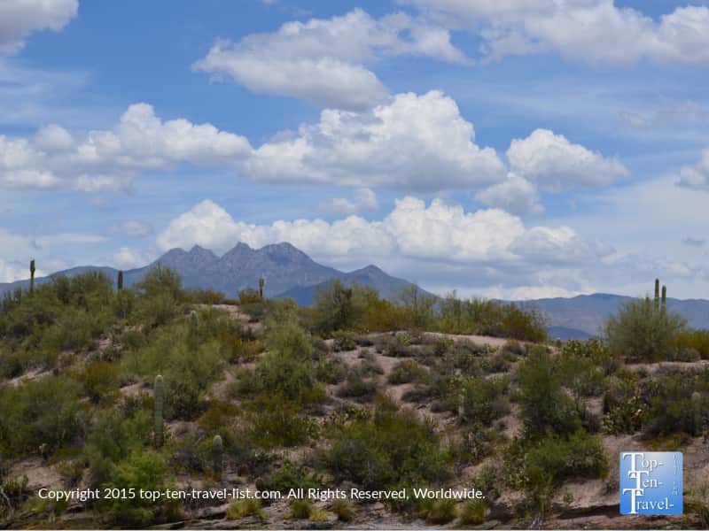 Beautiful mountain views and cacti on Saguaro Lake in Arizona