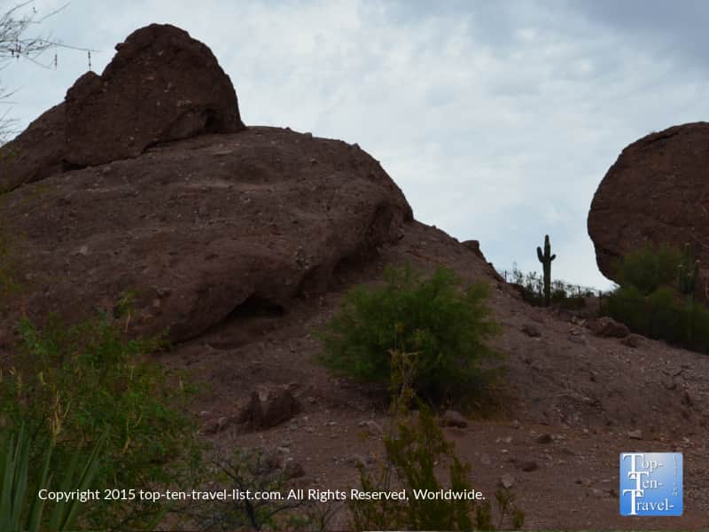Scenic rock formation at the Phoenix Zoo